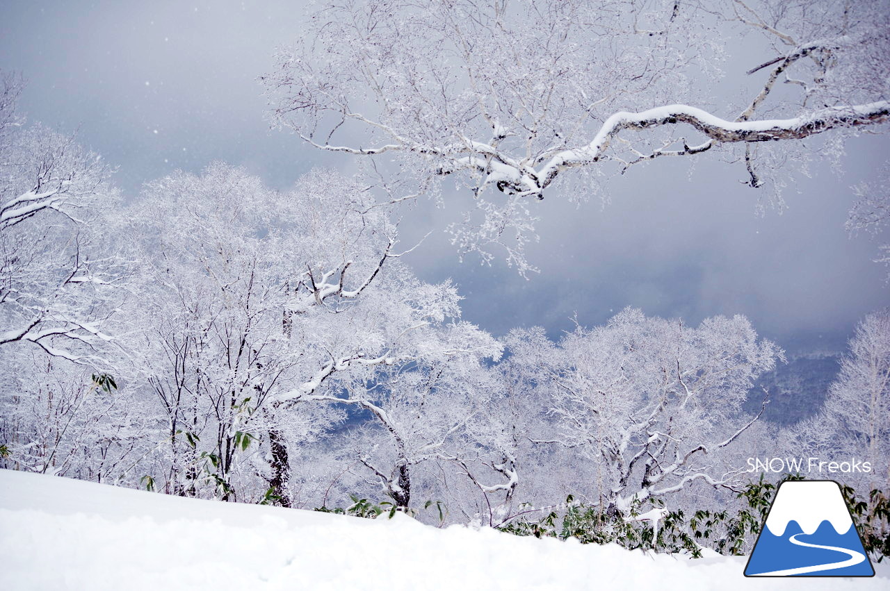 春スキーの聖地『中山峠スキー場』は、初滑りシーズンも凄かった…!!初滑りから粉雪たっぷりの2018年11月☆